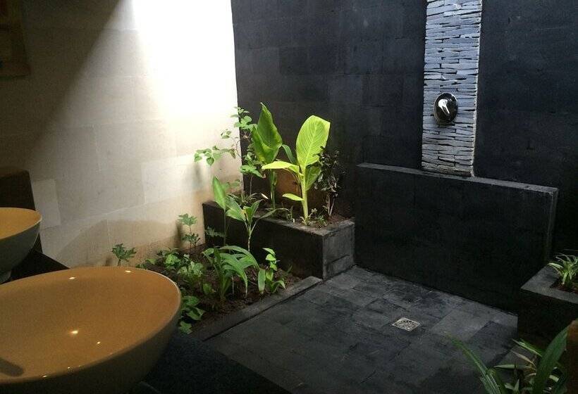 スタンダードルーム, Scallywags Resort