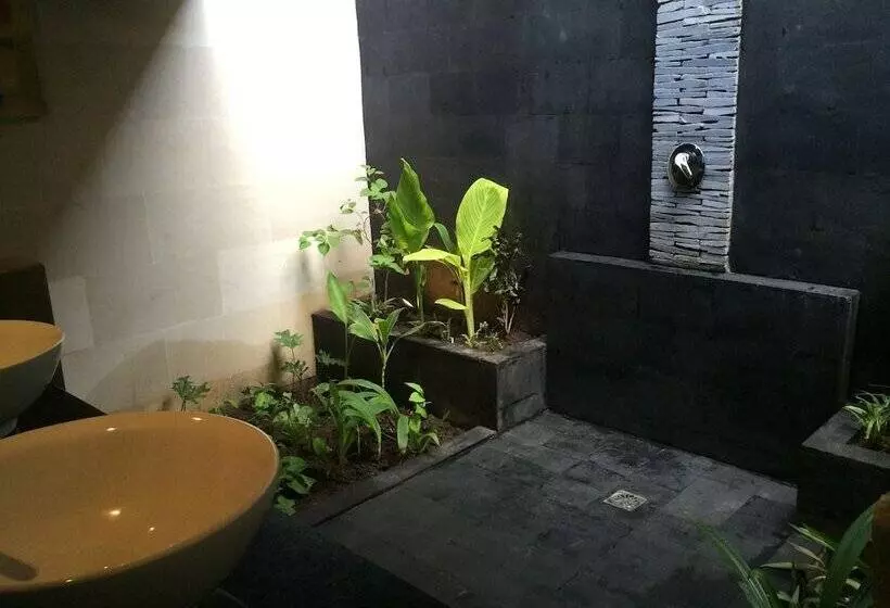 Standard-huone, Scallywags Resort
