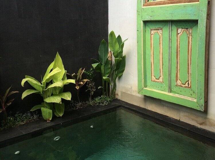 スタンダードルーム, Scallywags Resort