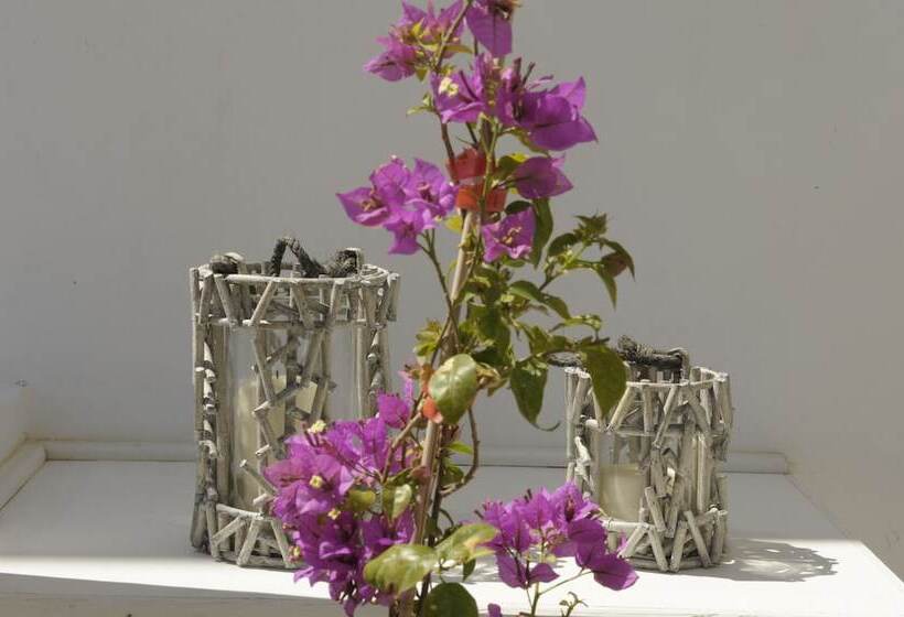 高级大房间, Almyris