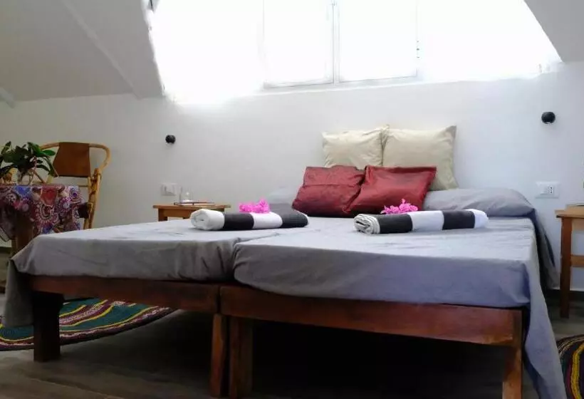 اتاق اکونومی, Kobe House
