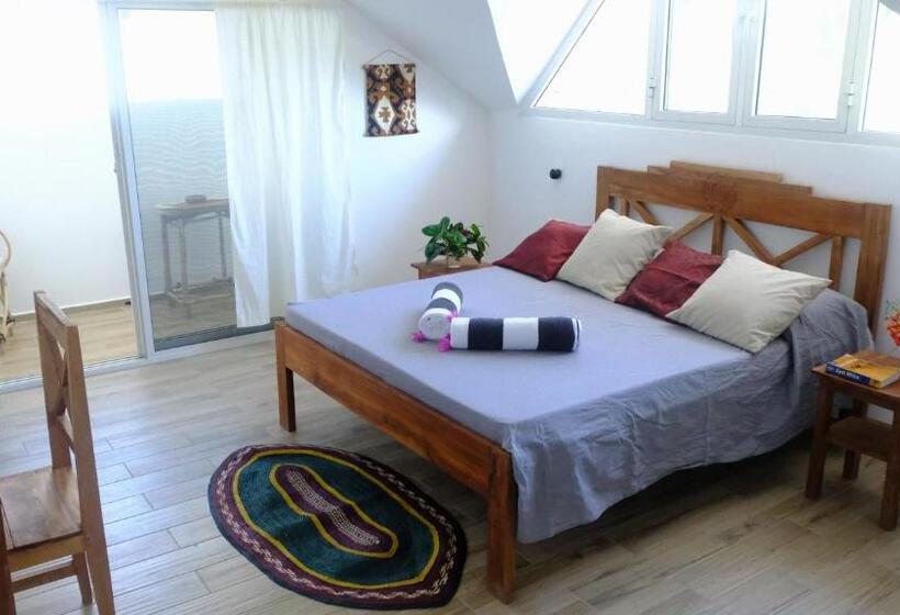 غرفة قياسية مزوَّدة بتراس, Kobe House