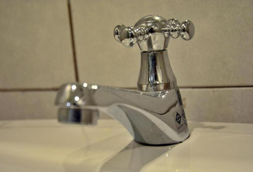 Quarto deluxe, Seedling House