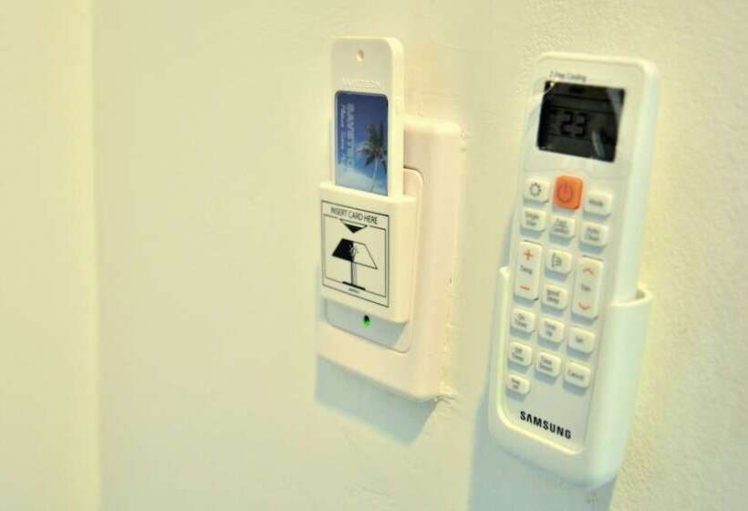 Quarto Triplo Standart, Seedling House