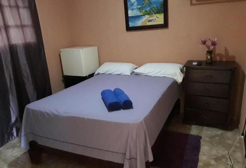 Номер Стандарт, Apartahotel Next Nivel