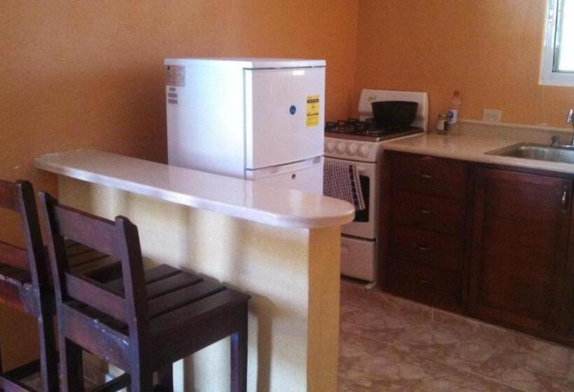 דירת שני חדרים, Apartahotel Next Nivel