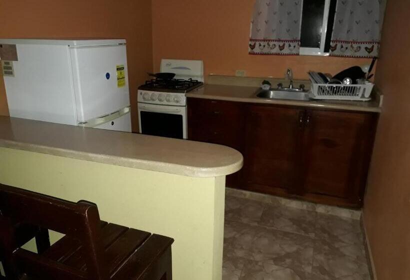 דירת שני חדרים, Apartahotel Next Nivel