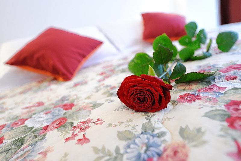 غرفة قياسية مزوَّدة بشُرفة, Europa