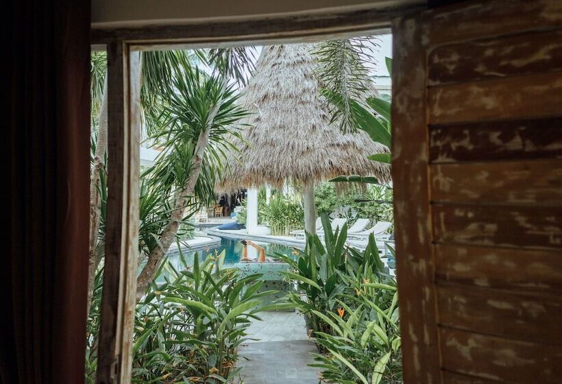 プレミアムルーム, Gili Amor Boutique Resort