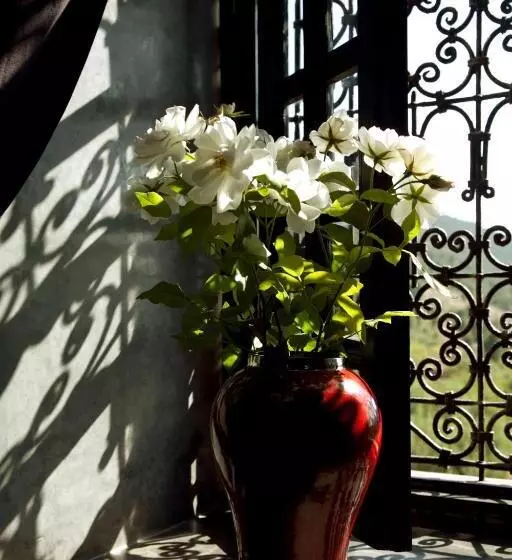سوییت لوکس, Kasbah Illy