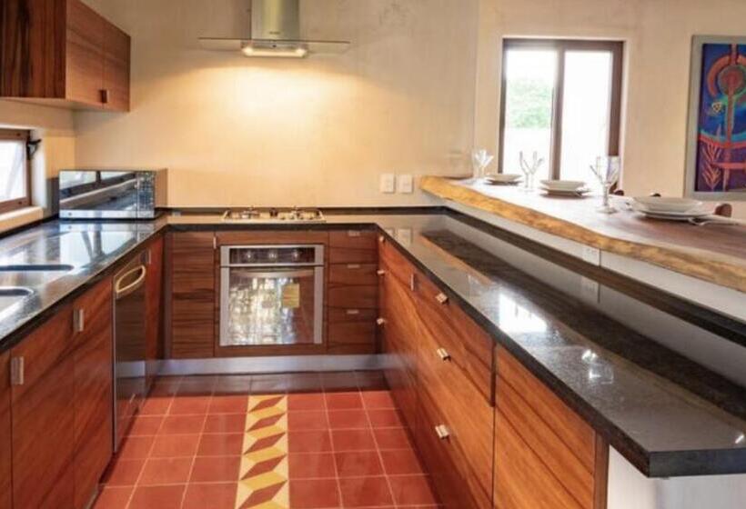 Junior Suite with Terrace, Niwa Tulum