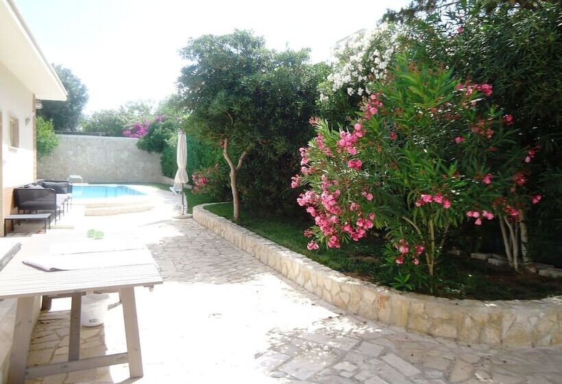 اتاق استاندارد, Villa Dafne