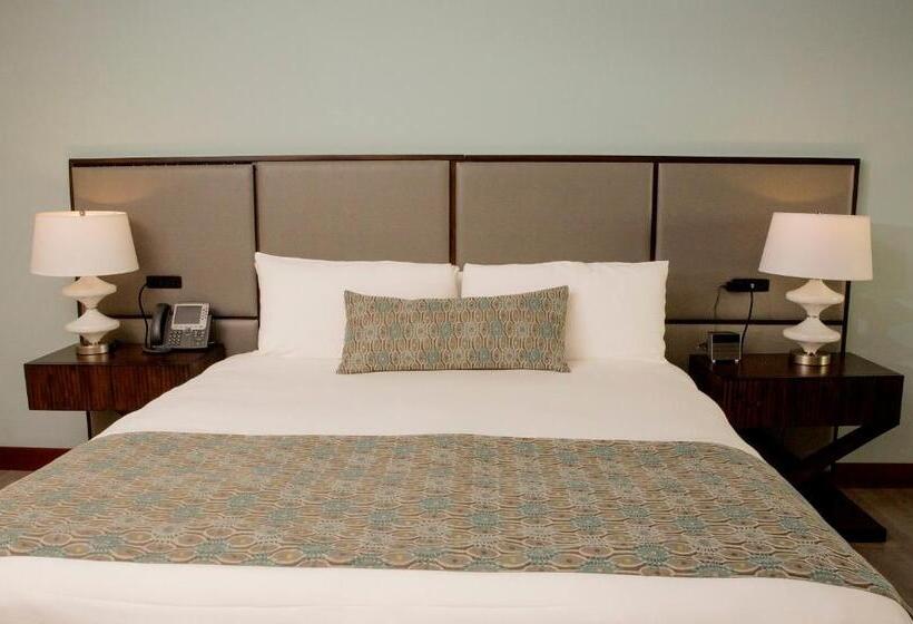 اتاق لوکس با تخت بزرگ, Croc S Resort & Casino