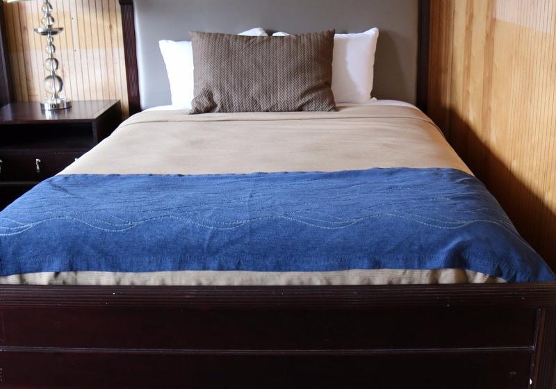 스탠다드 룸 킹사이즈 침대, Rodeway Inn