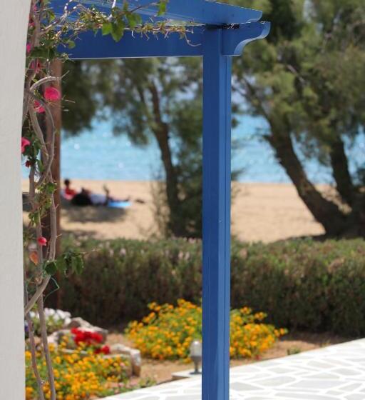 غرفة قياسية مطلّة علي البحر, Paros Inn