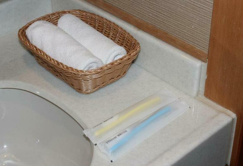 标准间, Ogoto Onsen Yunoyado Komolebi