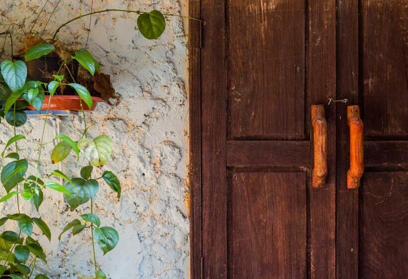 Номер Superior с Террасой, Changmoi House