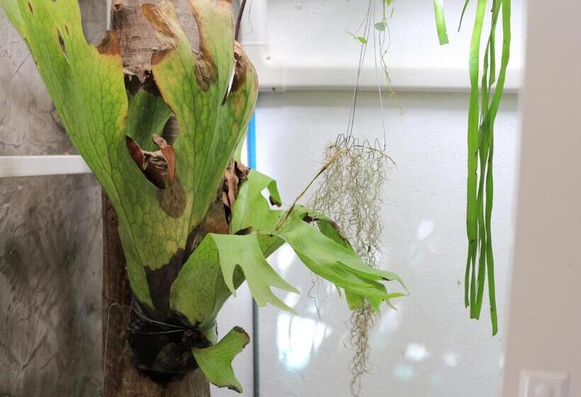 Вилла 1 Спальня, Changmoi House