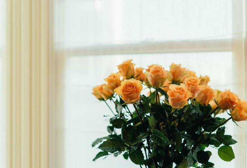 جناح مطل على المدينة, Mansion On Sutter