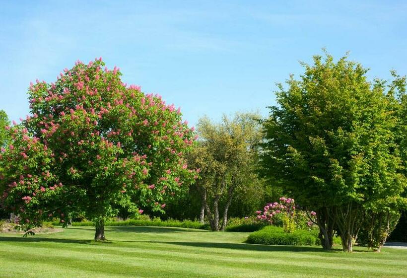 수피리어 룸, Relais 23