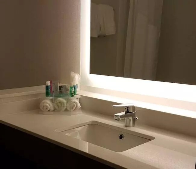 スタンダードルーム, Holiday Inn Express & Suites Toledo West, An Ihg