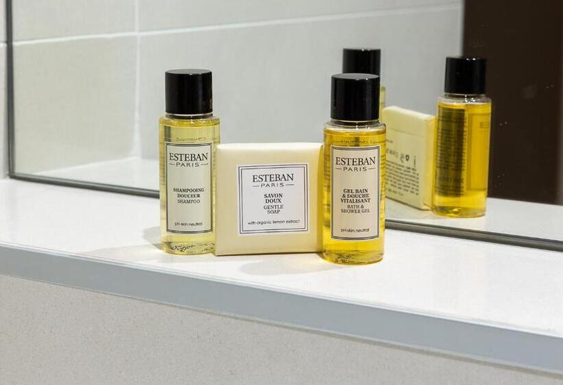 ファミリールーム, Montbriand Antony  Ancien Alixia