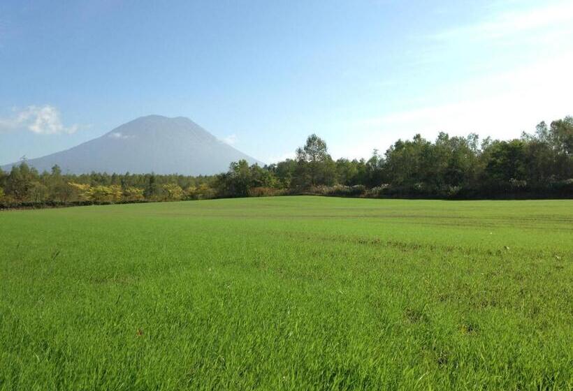 4인용 스탠다드 룸, Resort Inn Niseko