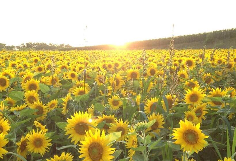 복층 룸, Resort Inn Niseko