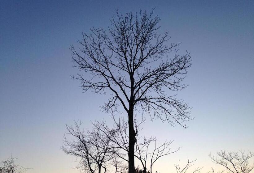 스탠다드 싱글 룸, Resort Inn Niseko