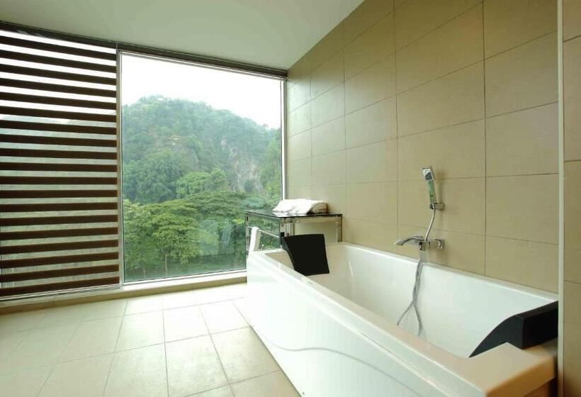 高级套房, Symphony Suites