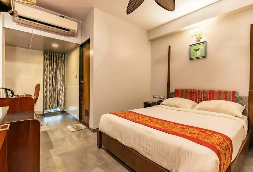 Camera Standard, Zense Candolim