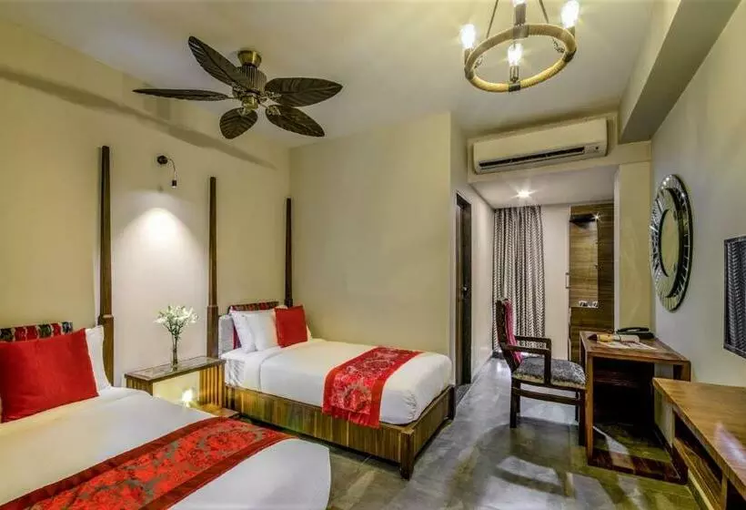 Camera Standard, Zense Candolim