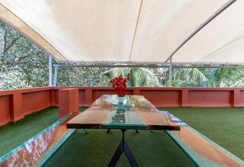 סוויטת מאסור, Zense Candolim