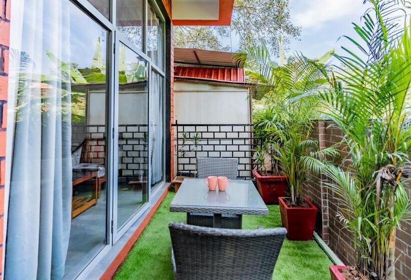 חדר דלוקס, Zense Candolim