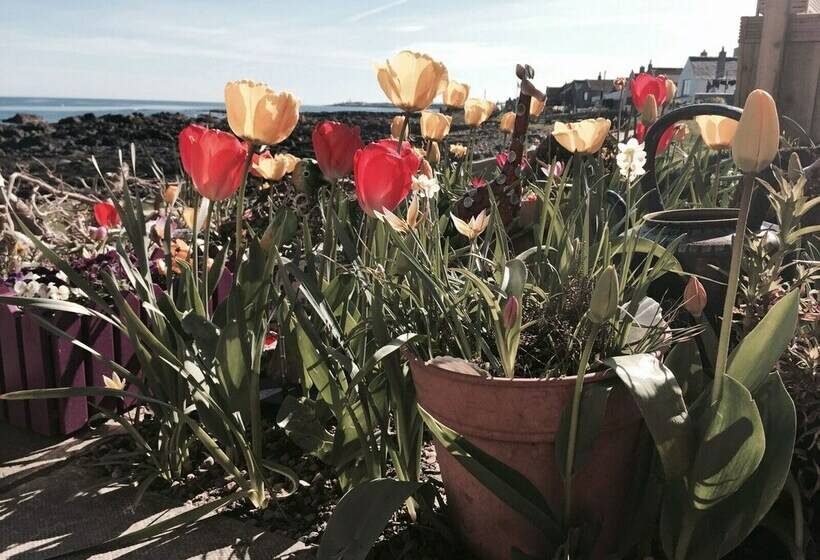 １ベッドルームハウス, Pew With A View  Seafront Cottages