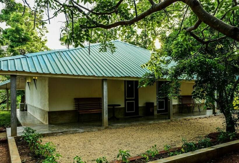 Шале 1 Спальня, Rangiri Dambulla Resort