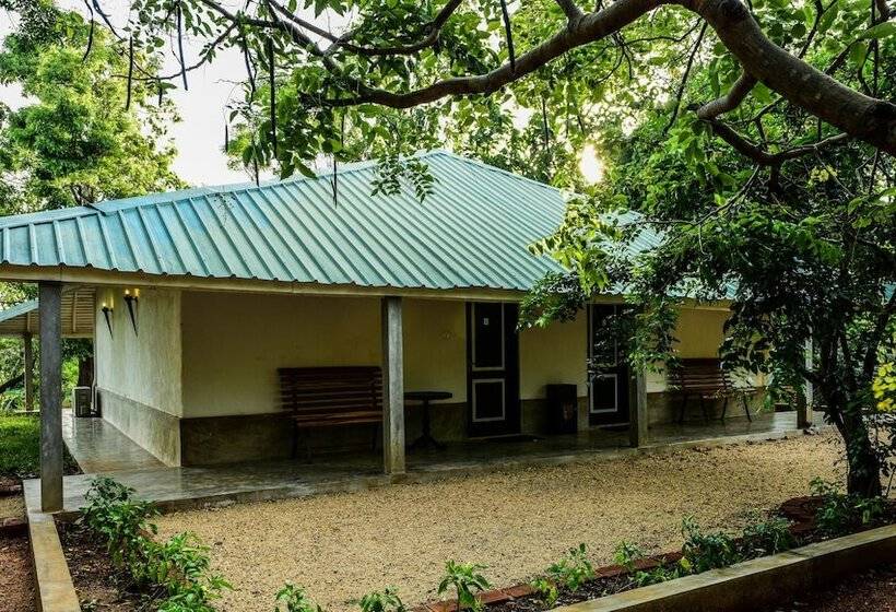 Шале 1 Спальня, Rangiri Dambulla Resort