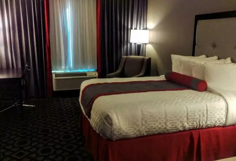اتاق استاندارد, Best Western Plus Laredo Inn & Suites