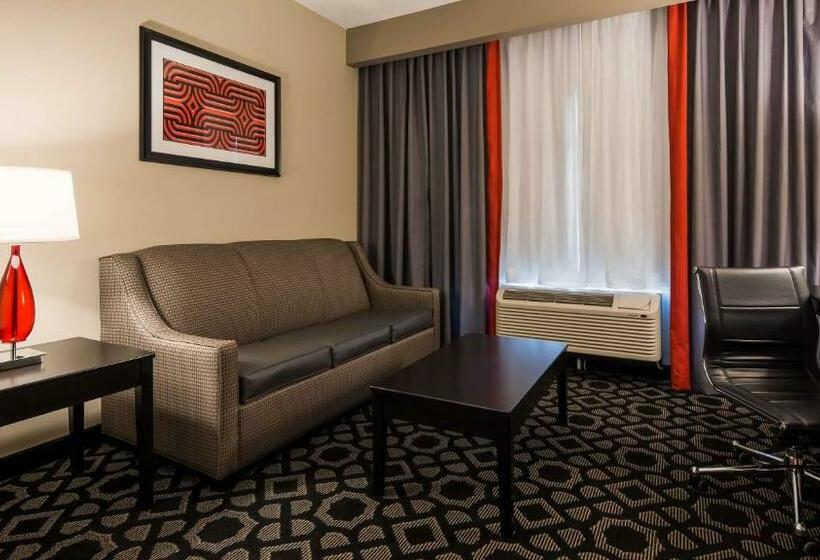 سوئیت با تخت بزرگ, Best Western Plus Laredo Inn & Suites