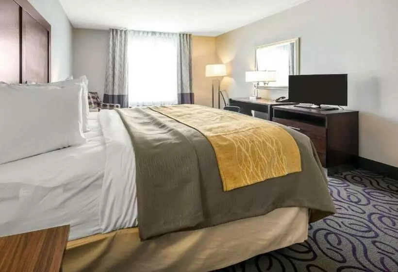 キングサイズベッドのスタンダードルーム, Comfort Inn & Suites