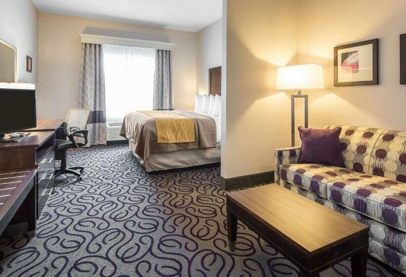 스위트 킹사이즈 침대, Comfort Inn & Suites