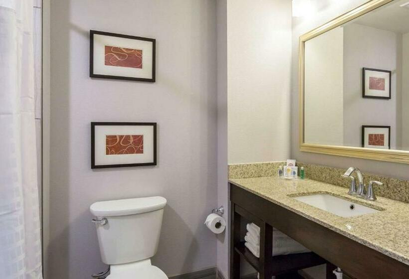 غرفة قياسية سرير كينج, Comfort Inn & Suites