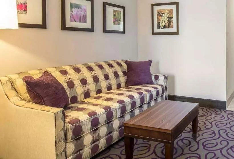 キングサイズベッドのスイートルーム, Comfort Inn & Suites