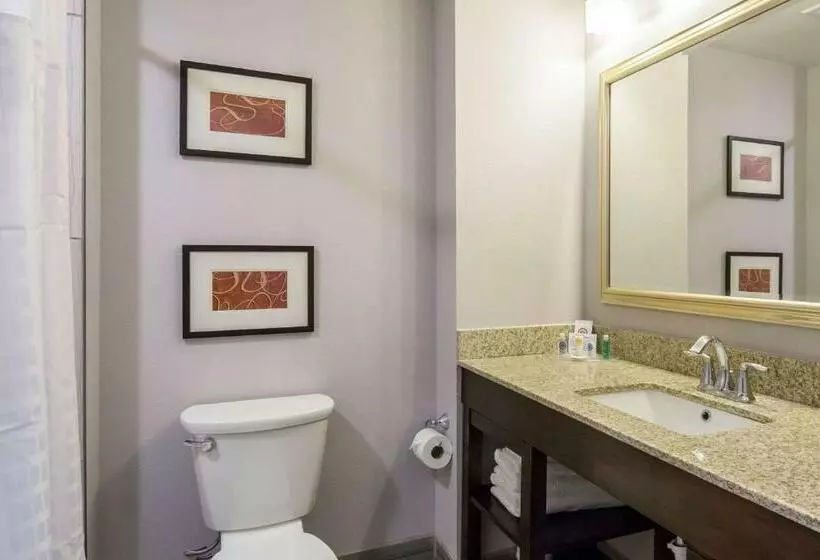 キングサイズベッドのスイートルーム, Comfort Inn & Suites