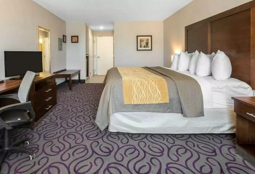 キングサイズベッドのスタンダードルーム, Comfort Inn & Suites