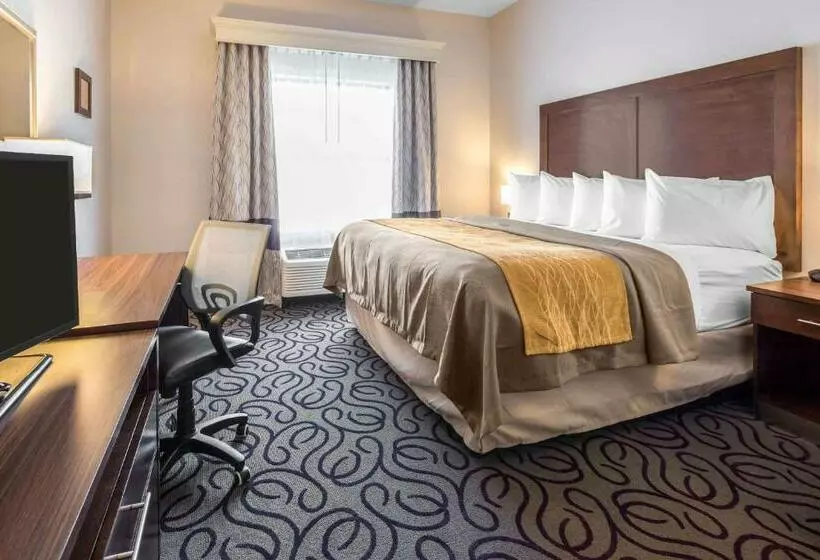 キングサイズベッドのスイートルーム, Comfort Inn & Suites