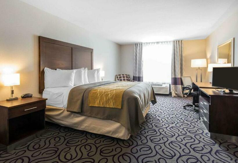 غرفة قياسية سرير كينج, Comfort Inn & Suites