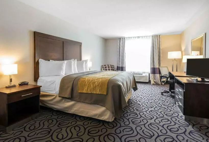 キングサイズベッドのスタンダードルーム, Comfort Inn & Suites