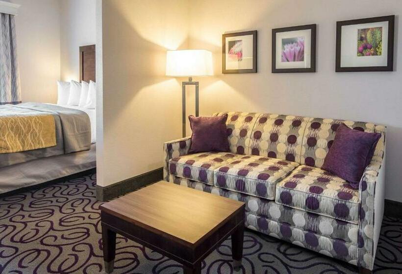 스위트 킹사이즈 침대, Comfort Inn & Suites