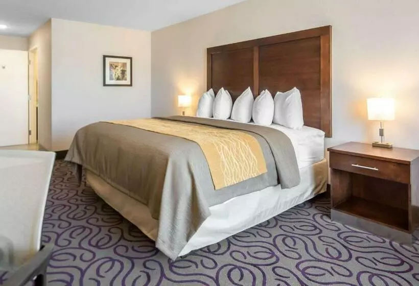 キングサイズベッドのスタンダードルーム, Comfort Inn & Suites